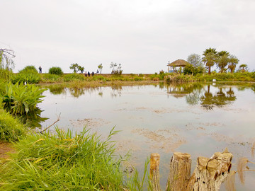 宝丰湿地公园风景