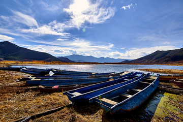 泸沽湖草海