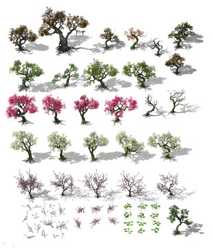 3dmax模型精美树木合集