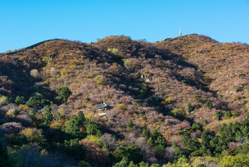 香山