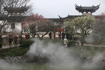 水墨梅花