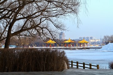 南湖夜景