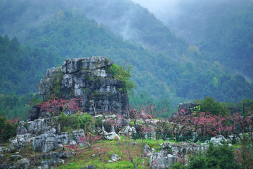 桃花源