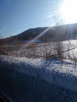 冬季阳光