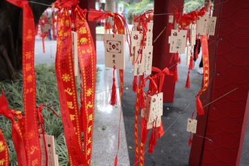 许愿树