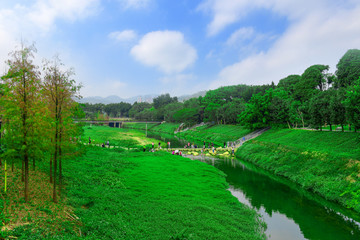 深圳市中心公园的福田河