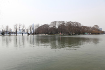 冬季玄武湖6