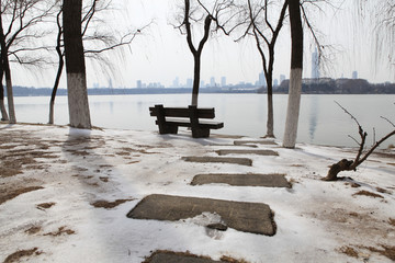 冬季玄武湖15