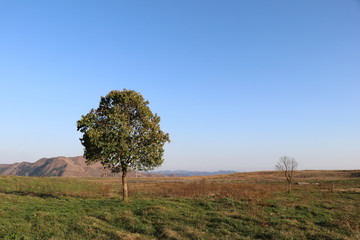 风景