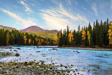 喀纳斯湖景