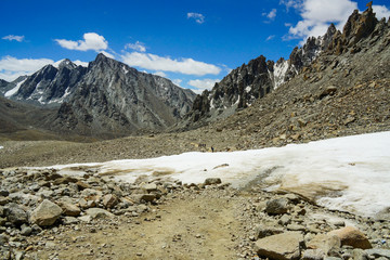 高原大山冰川