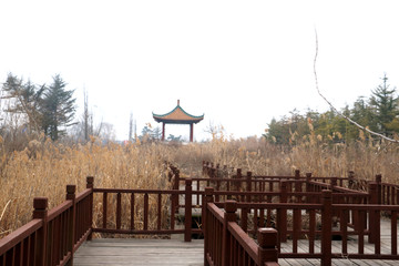 公园小亭子