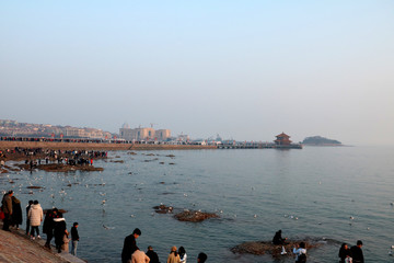 青岛栈桥
