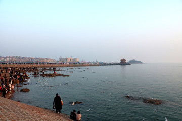 青岛栈桥