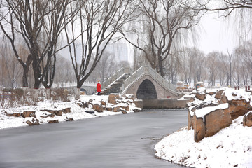 凤凰苑植物园雪景
