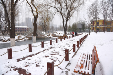 凤凰苑植物园雪景