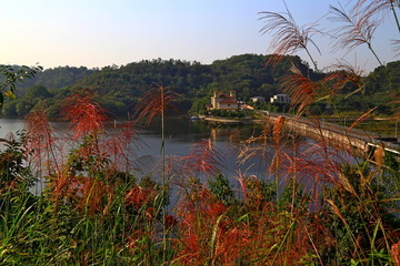 湿地公园俯瞰