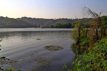 迎龙湖湿地公园植被