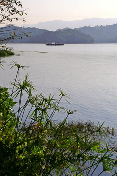 迎龙湖湿地公园