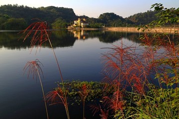 迎龙湖国家湿地公园