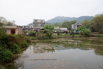鱼塘