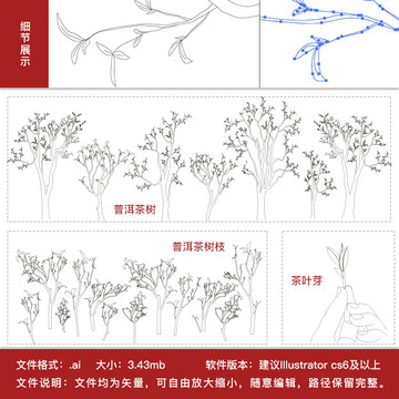 普洱茶茶树枝叶芽线描矢量素材