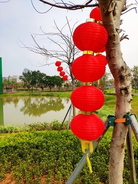 灯笼高挂