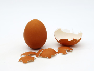 鸡蛋壳素材