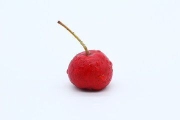 山楂