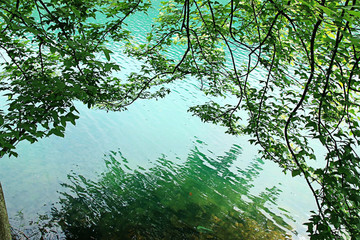 山水