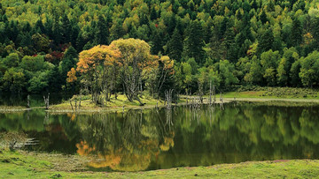 山水