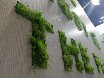 植物发光字