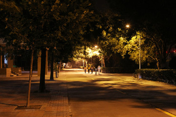 夜晚的校园林荫路