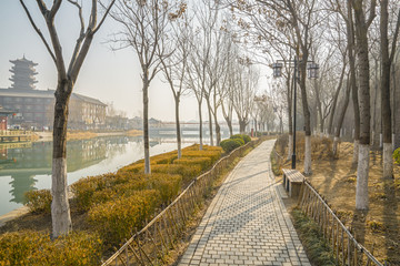 树林小路