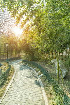 竹林小路