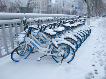 雪地里的共享单车
