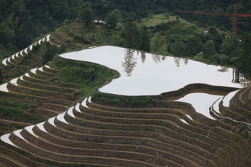 龙脊梯田