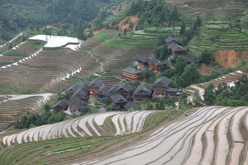 龙脊梯田