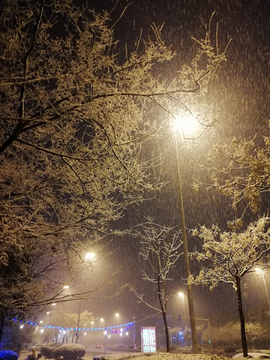 雪中的夜晚