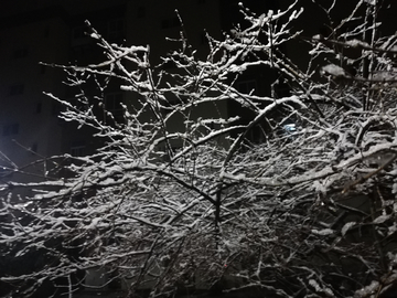 雪中的夜晚