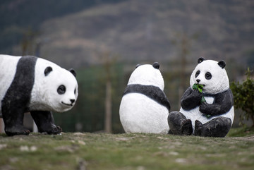 熊猫1公园2塑像3宝贝