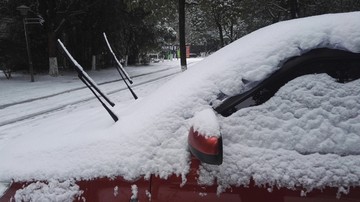 积雪下的汽车