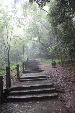 山间小路