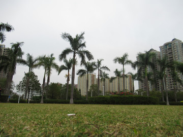 市政广场