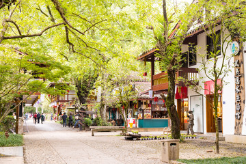 福建武夷山