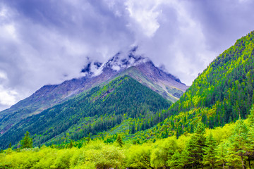 四姑娘山风光