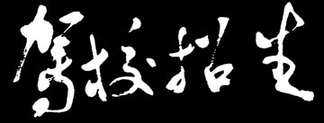 驾校招生书法字体