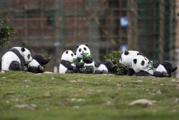 熊猫1大熊猫2公园