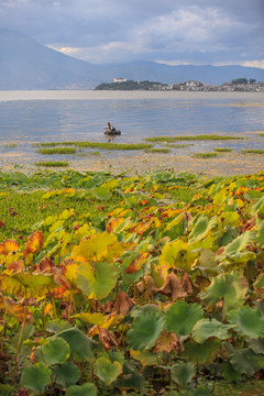 大理洱海风光