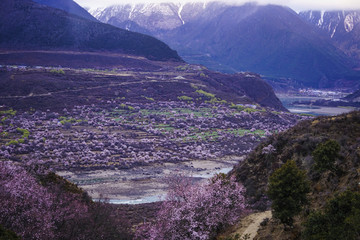 藏东南
